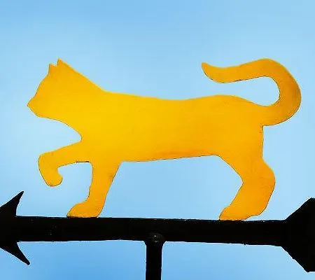 Casa de Campo Gattogiallo