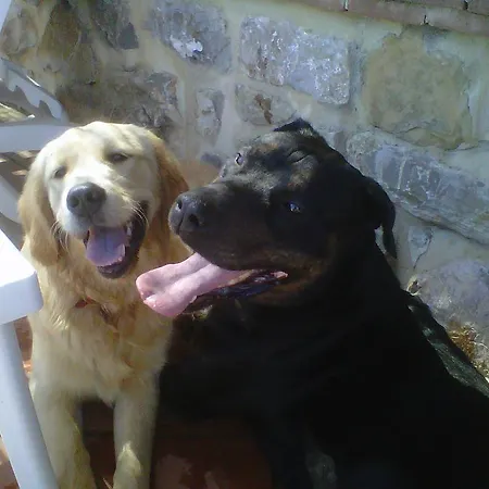 Gattogiallo 컨트리하우스 *