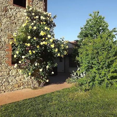 Gattogiallo * Montegabbione